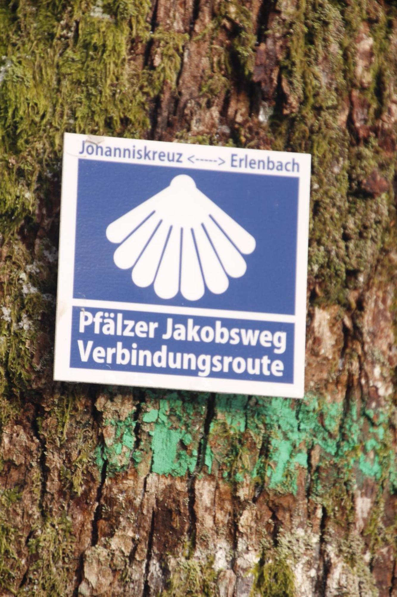 Ferienwohung Am Felsenwanderweg Im Pfaelzerwald Lejlighed Rodalben Eksteriør billede