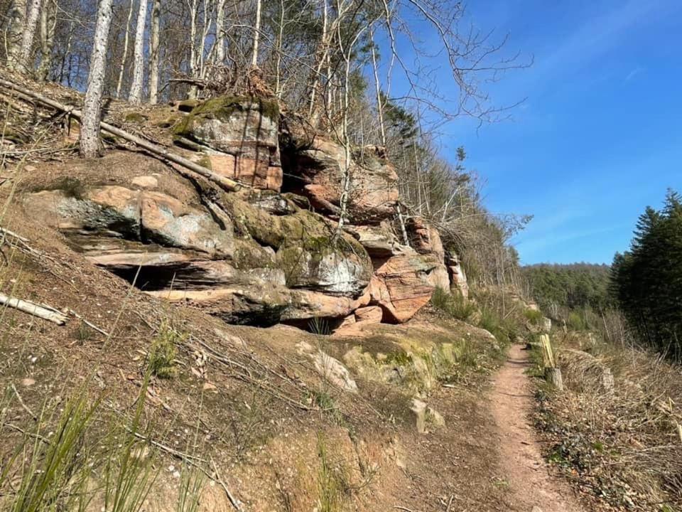Ferienwohung Am Felsenwanderweg Im Pfaelzerwald Lejlighed Rodalben Eksteriør billede