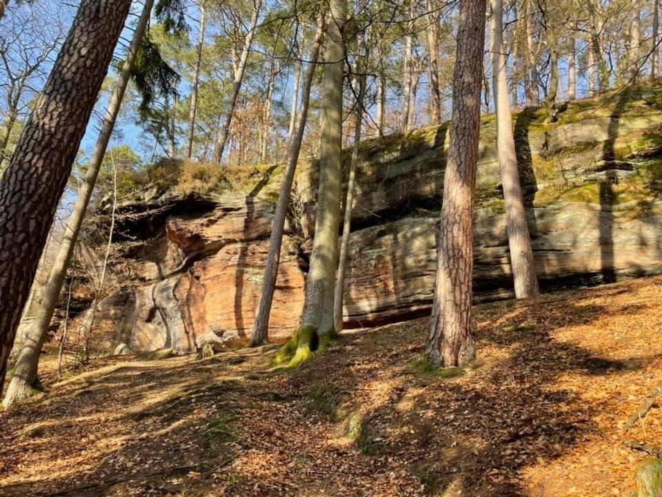 Ferienwohung Am Felsenwanderweg Im Pfaelzerwald Lejlighed Rodalben Eksteriør billede