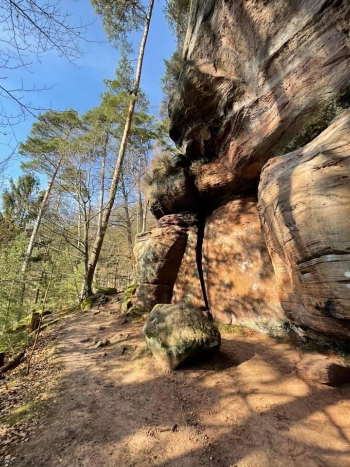 Ferienwohung Am Felsenwanderweg Im Pfaelzerwald Lejlighed Rodalben Eksteriør billede